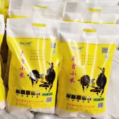 美吉小米